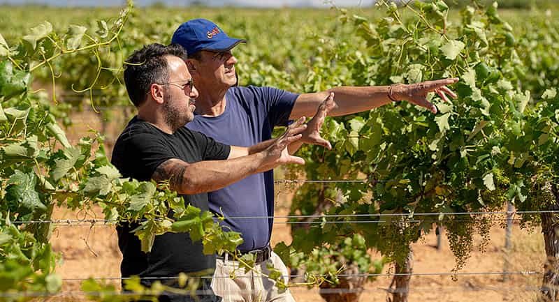 Fotograma de la película "LA BODA" Ana Ros. Jefa de prensa y consultora de comunicación especializada en el cine español e iberoamericano.