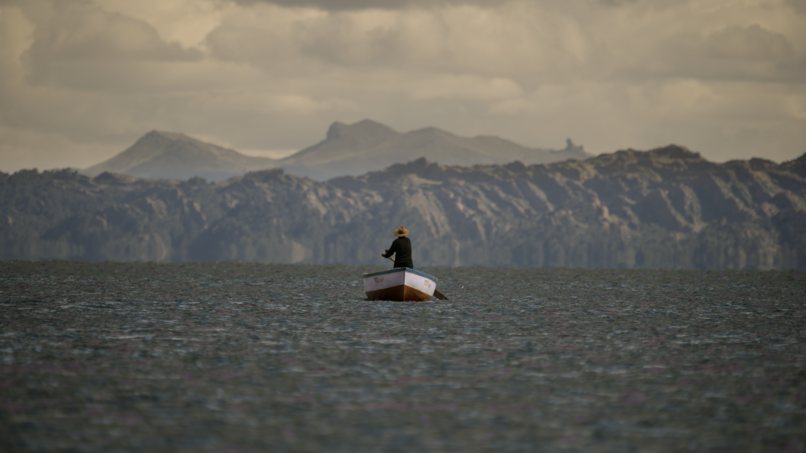 2b277fe7-6d95-36b7-cfa6-f6ce916b8cfa