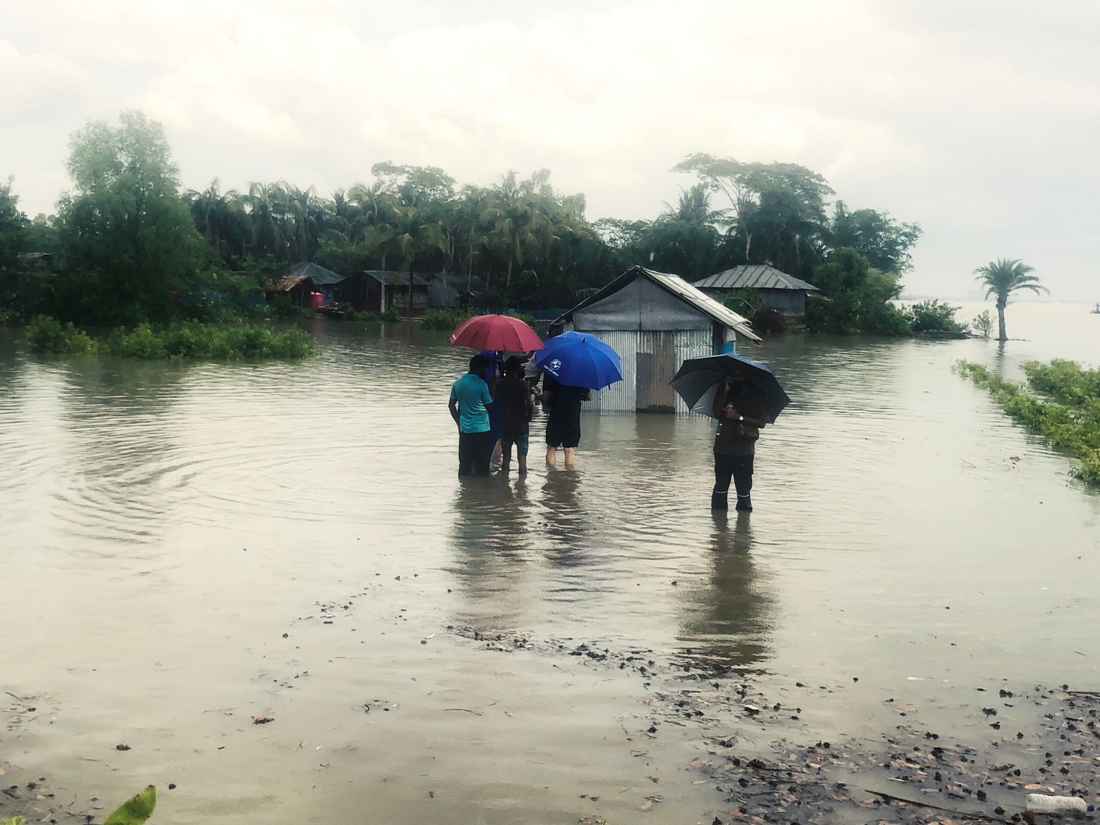 7370f5b1-ca07-795d-fa99-c95a94459ca7 (1)