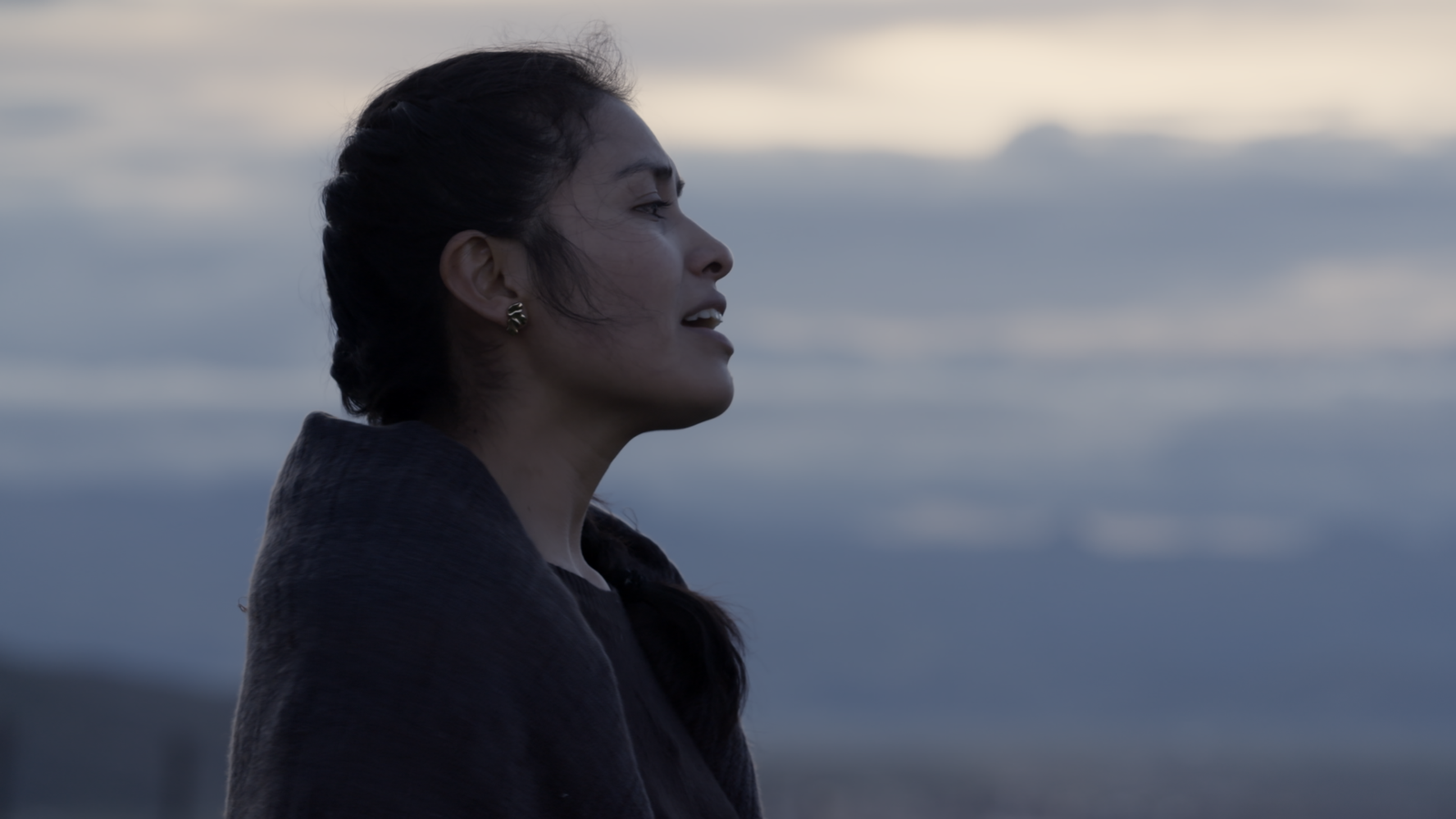 95d46015-e7cd-61df-5e6d-e9f25d735bdd