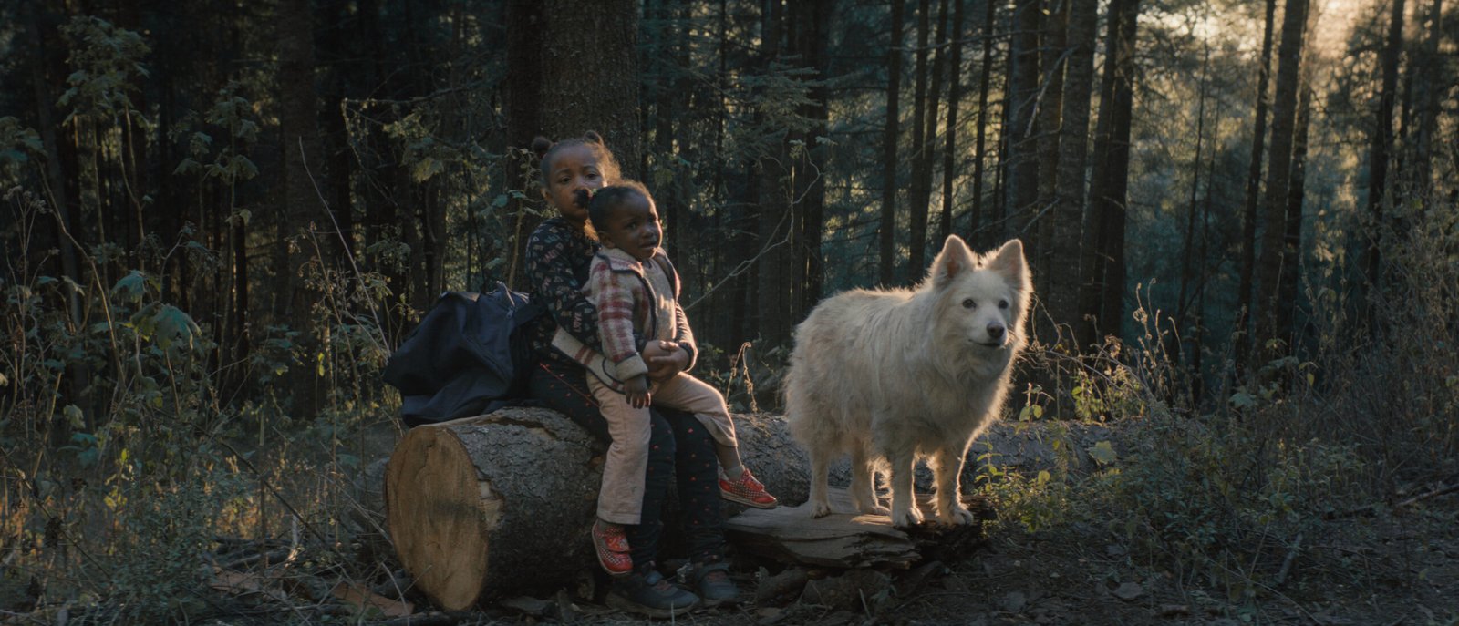 a41b678e-68fe-73ef-855c-a2521b1da7e5